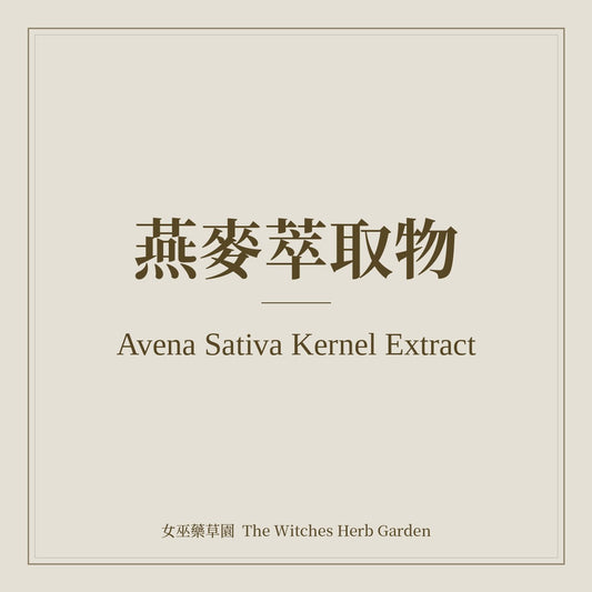 Avena Sativa Kernel Extract 燕麥萃取物
