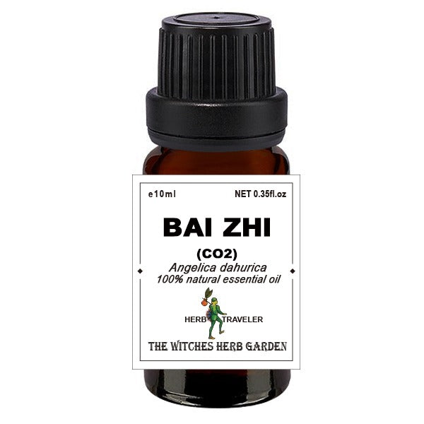 Bai Zhi 白芷精油 10ml
