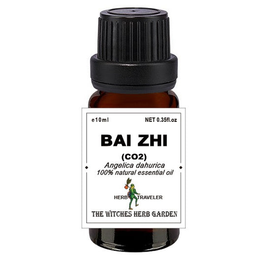 Bai Zhi 白芷精油 10ml