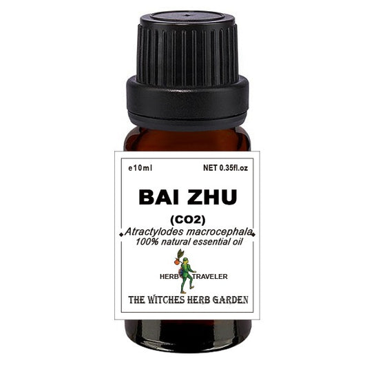 Bai Zhu 白朮精油 10ml