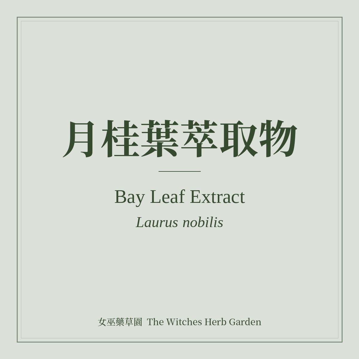 Bay Leaf Extract 月桂葉萃取物 Laurus nobilis