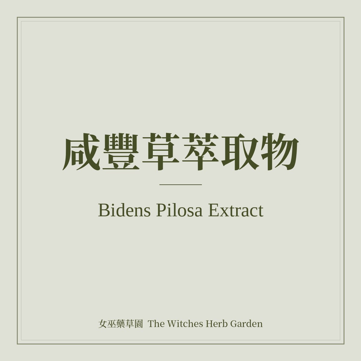Bidens Pilosa Extract 咸豐草萃取物