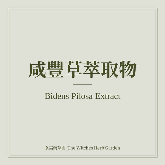 Bidens Pilosa Extract 咸豐草萃取物