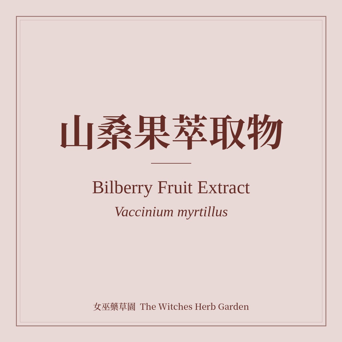 Bilberry Fruit Extract Vaccinium myrtillus