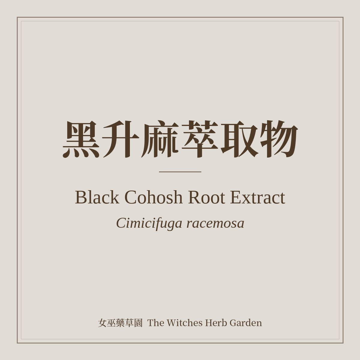 Black Cohosh Root Extract 黑升麻萃取物 Cimicifuga racemosa