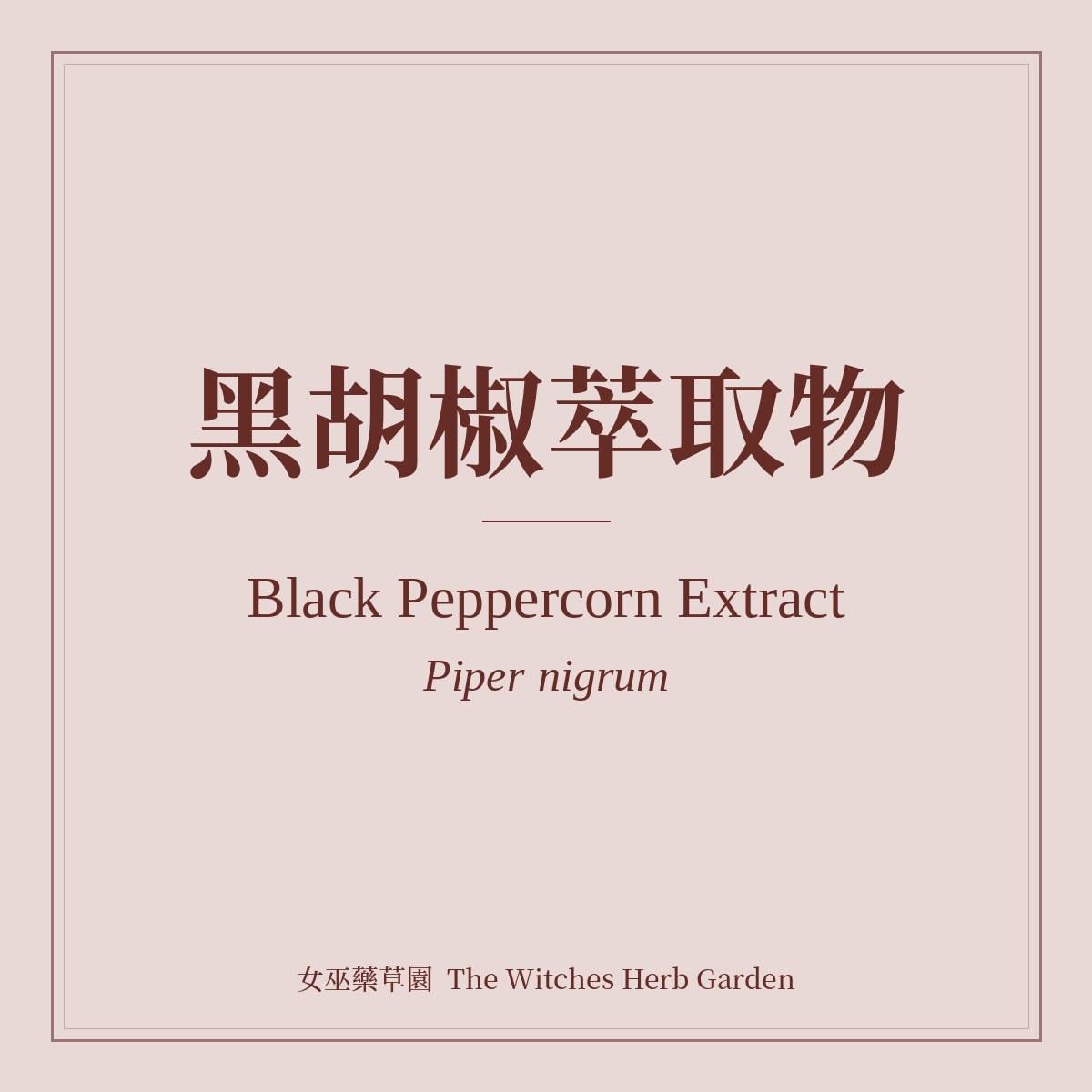 Black Peppercorn Extract 黑胡椒萃取物 Piper nigrum