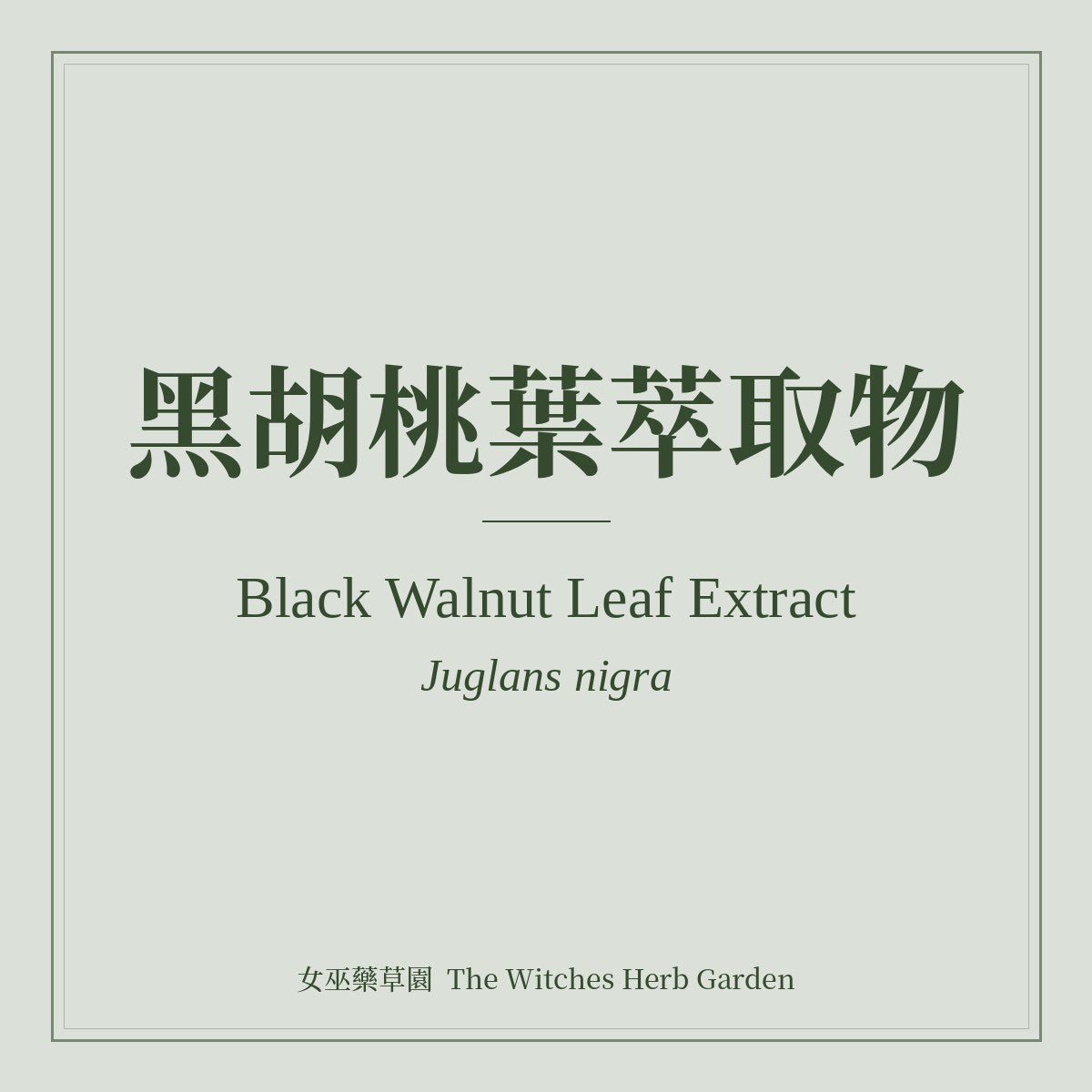 Black Walnut Leaf Extract 黑胡桃葉萃取物 Juglans nigra