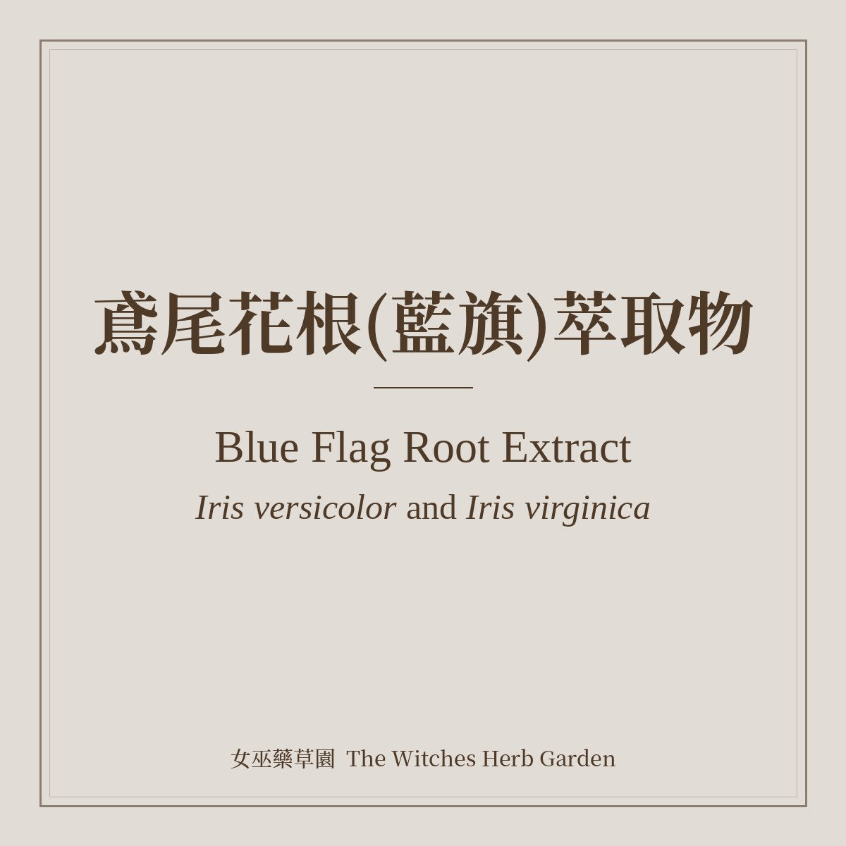 Blue Flag Root Extract 鳶尾花根(藍旗)萃取物 Iris versicolor and Iris virginica