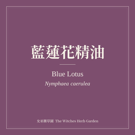Blue Lotus 藍蓮花精油