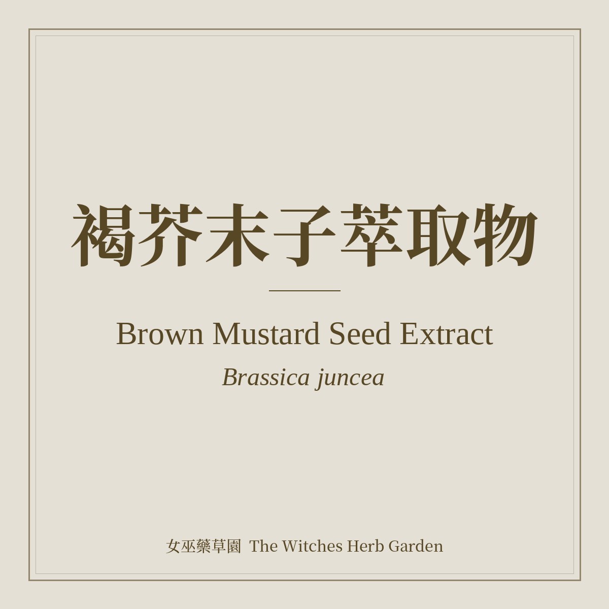 Brown Mustard Seed Extract 褐芥末子萃取物 Brassica juncea