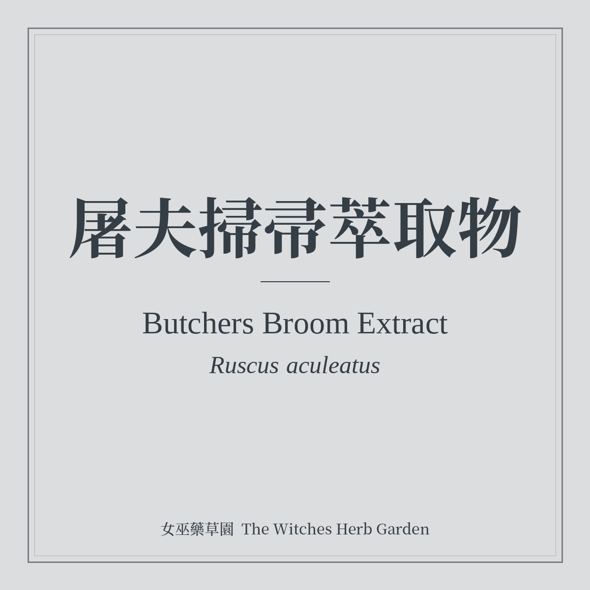 Butchers Broom Extract Ruscus aculeatus