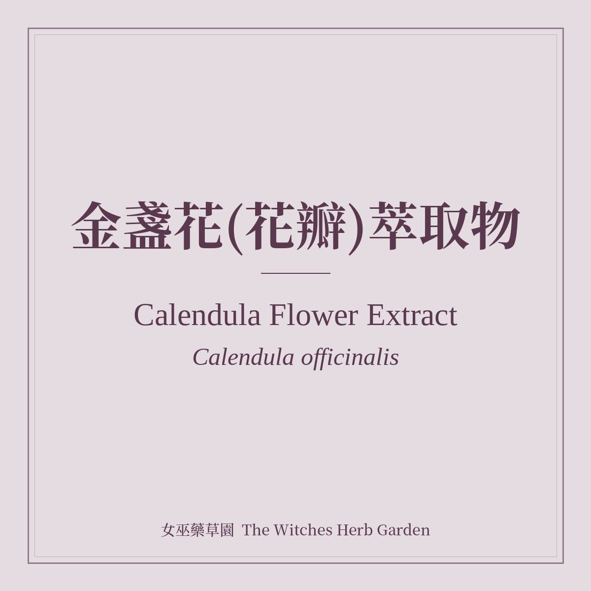 Calendula Flower Extract 金盞花(花瓣)萃取物 Calendula officinalis