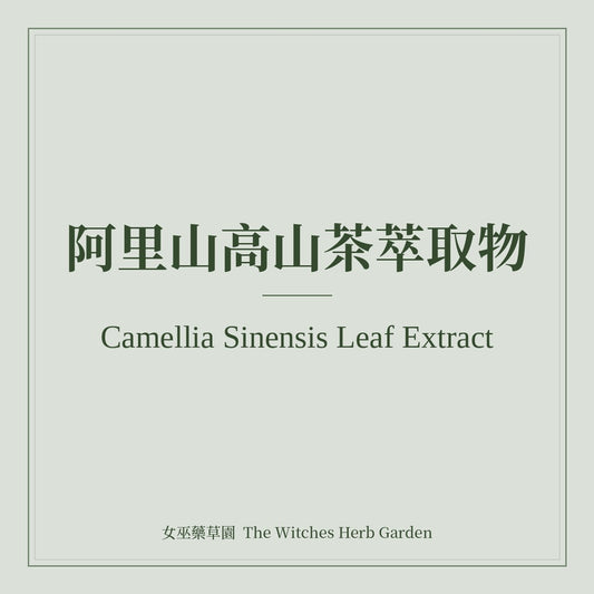 Camellia Sinensis Leaf Extract 阿里山高山茶萃取物