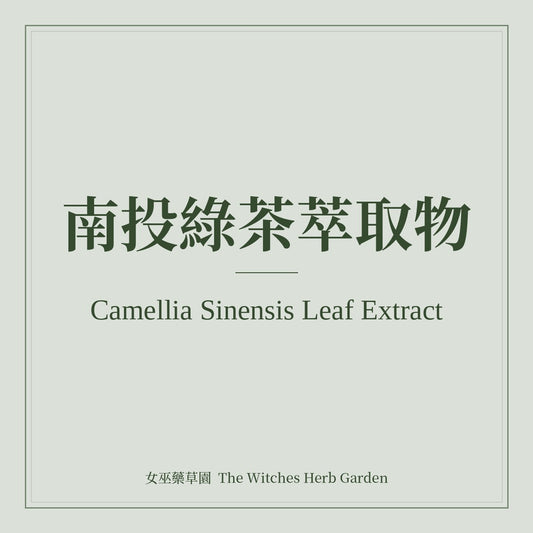 Camellia Sinensis Leaf Extract 南投綠茶萃取物
