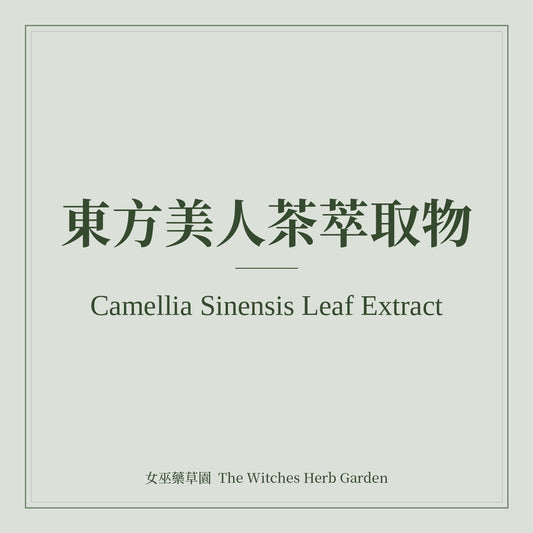 Camellia Sinensis Leaf Extract 東方美人茶萃取物