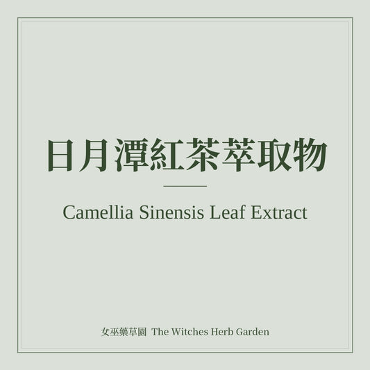 Camellia Sinensis Leaf Extract 日月潭紅茶萃取物