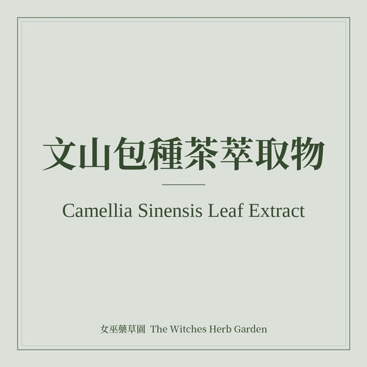 Camellia Sinensis Leaf Extract 文山包種茶萃取物