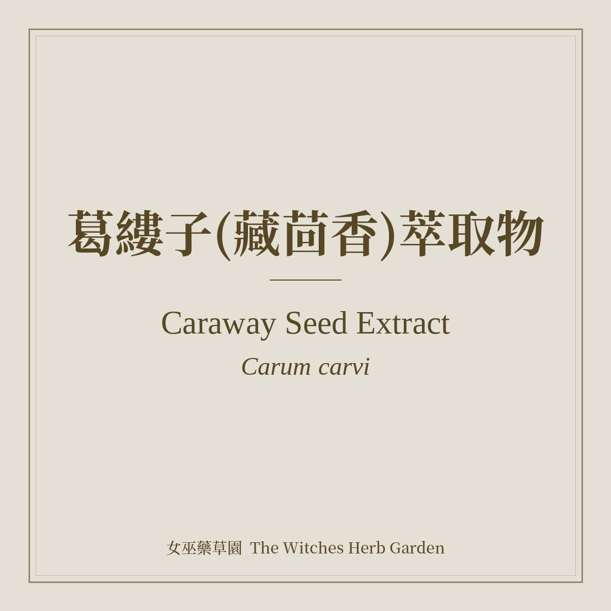 Caraway Seed Extract 葛縷子(藏茴香)萃取物 Carum carvi