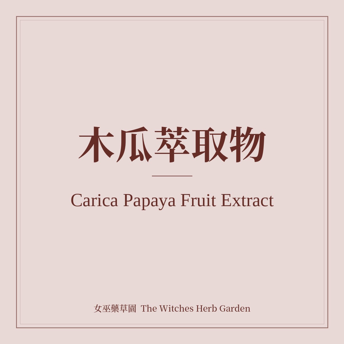 Carica Papaya Fruit Extract 木瓜萃取物