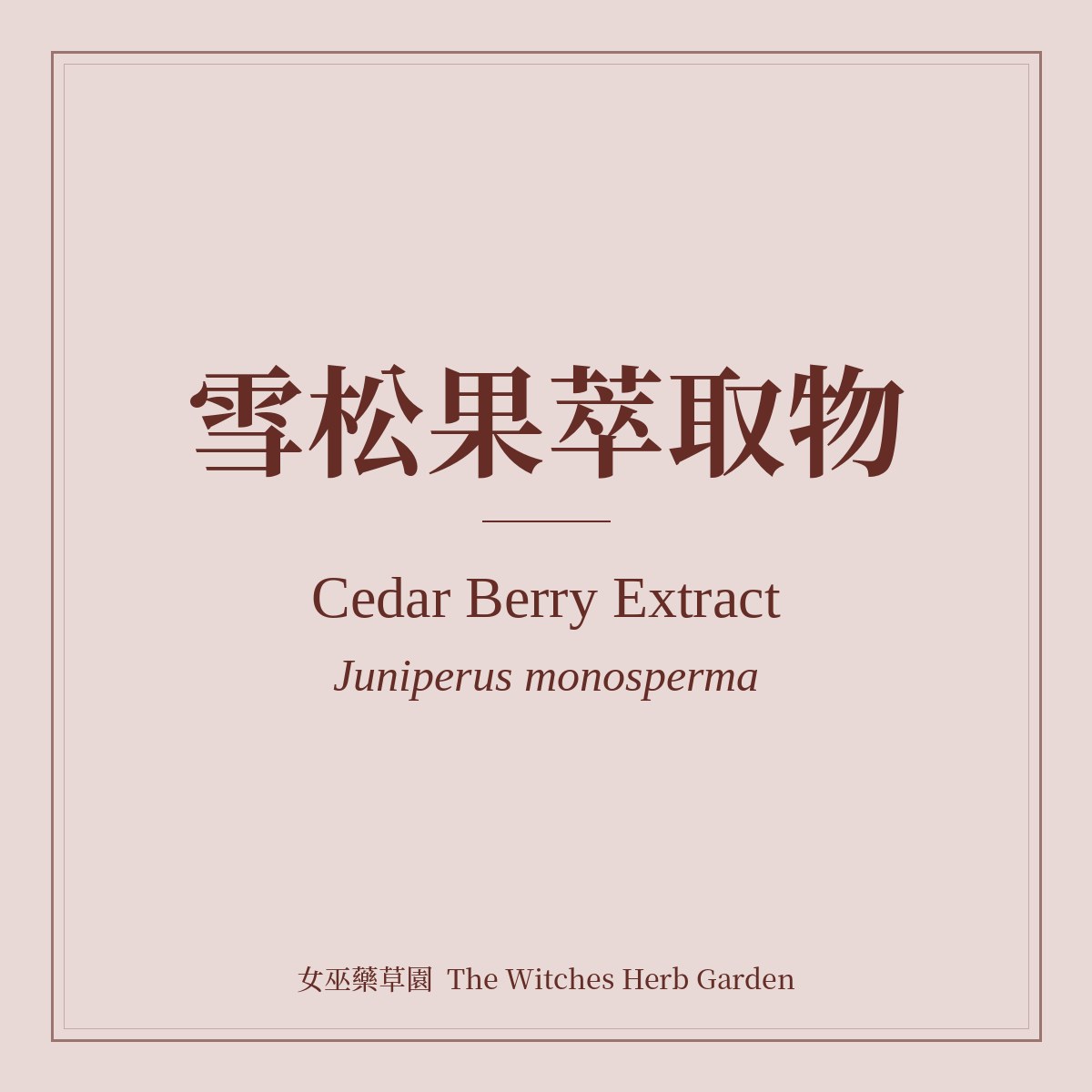 Cedar Berry Extract Juniperus monosperma