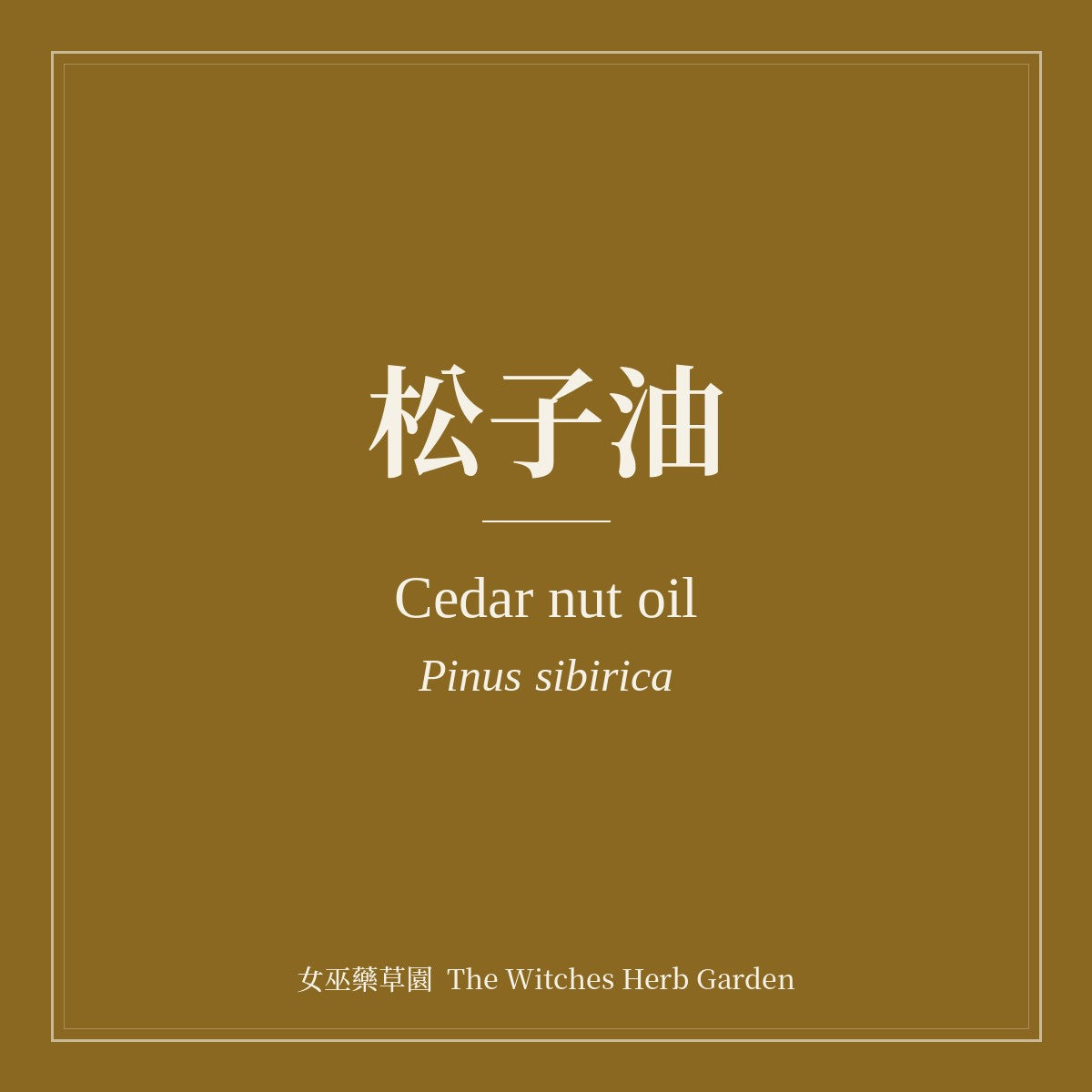 Cedar nut oil 松子油