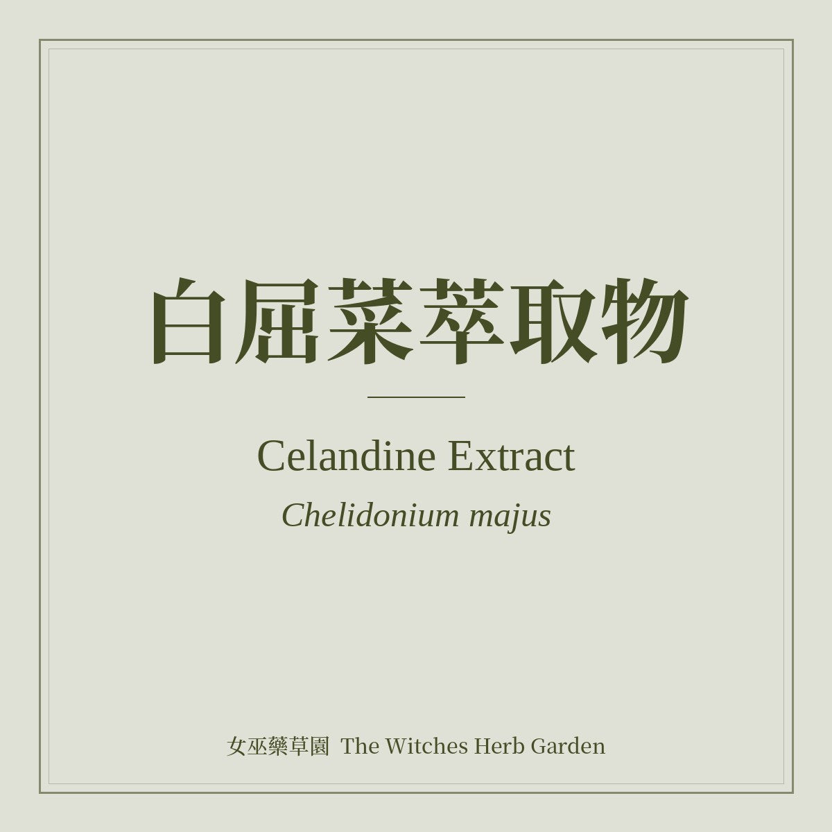 Celandine Extract 白屈菜萃取物 Chelidonium majus