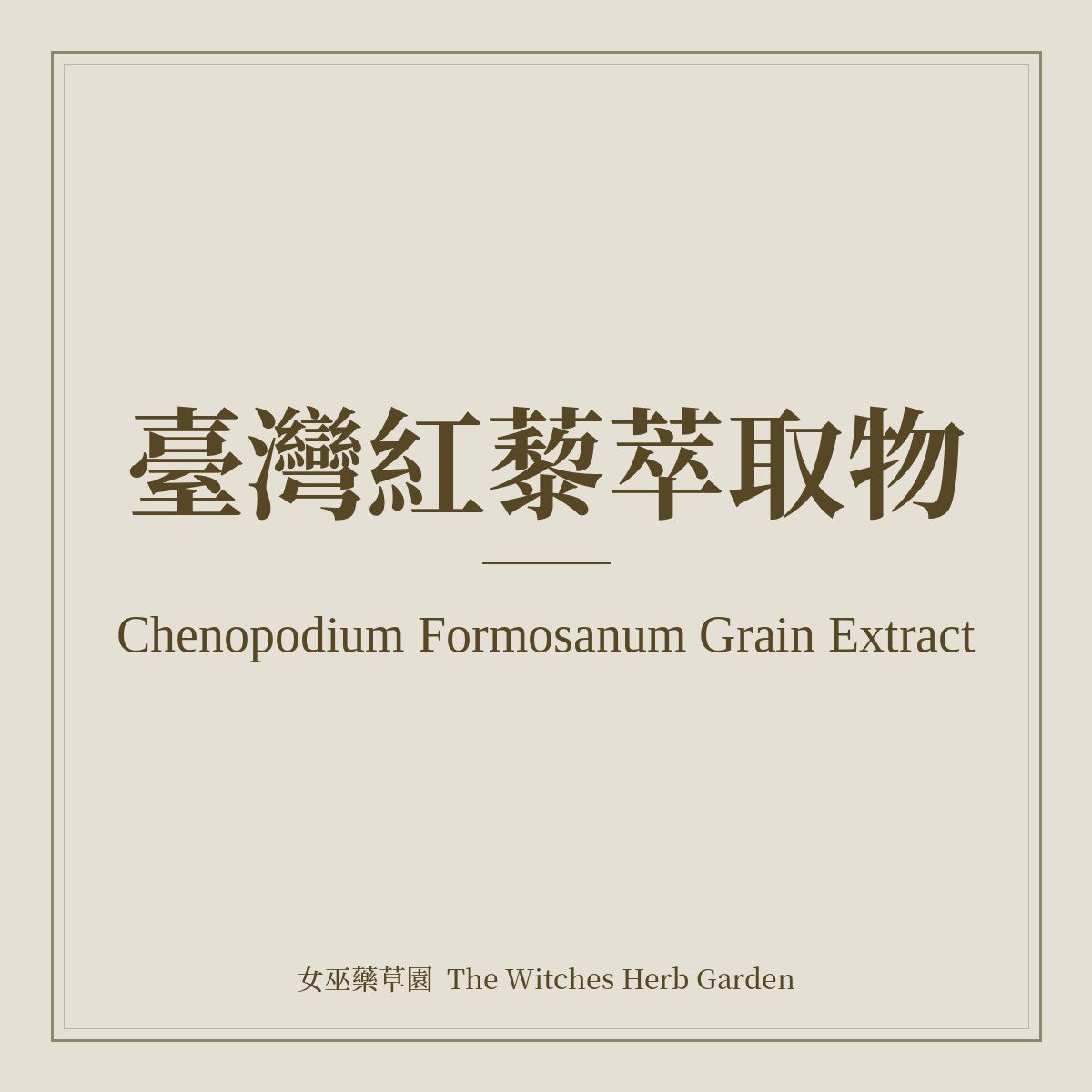 Chenopodium Formosanum Grain Extract 臺灣紅藜萃取物