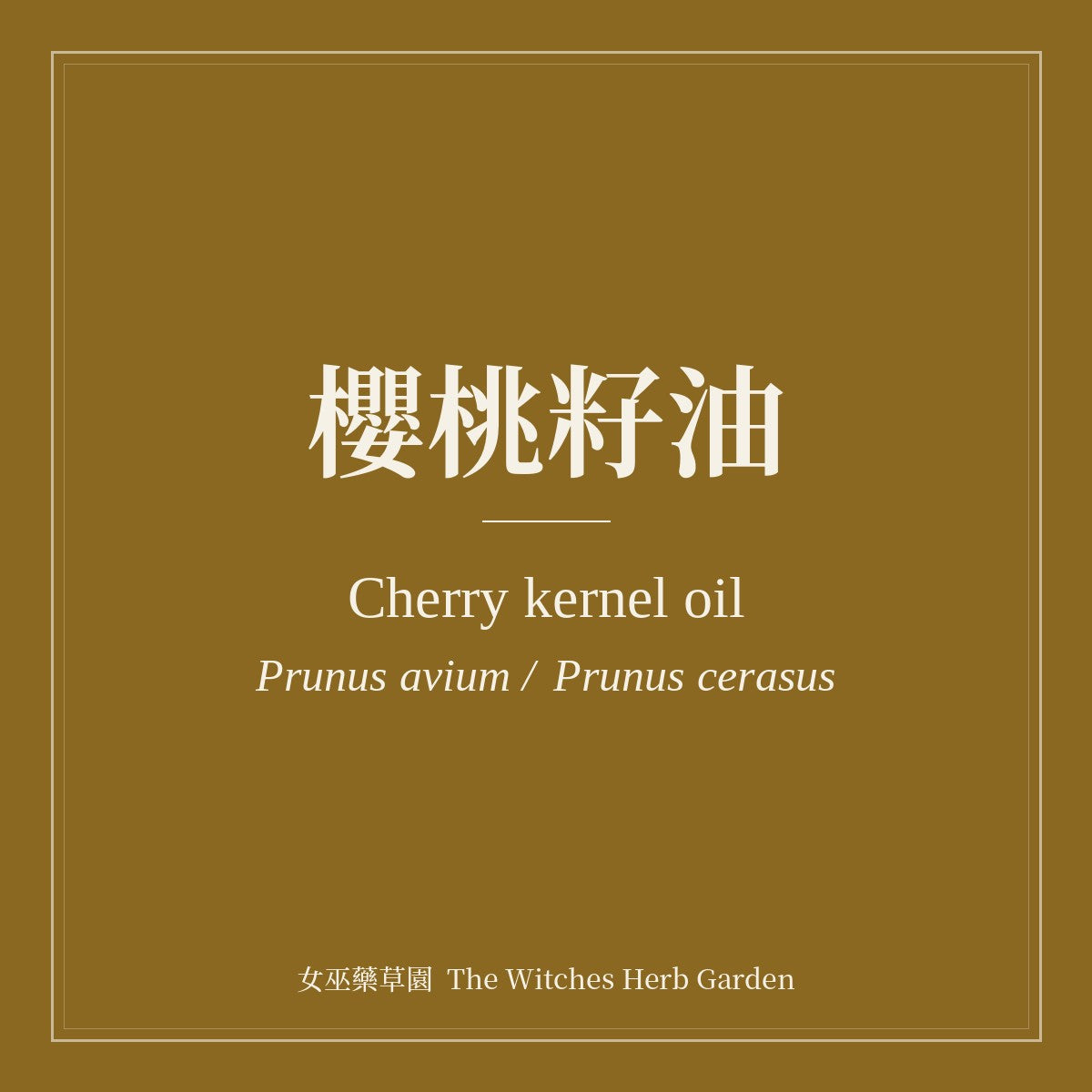 Cherry kernel oil 櫻桃籽油