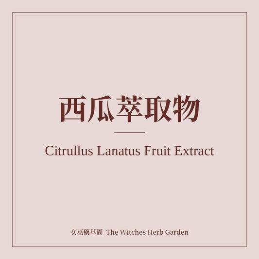 Citrullus Lanatus Fruit Extract 西瓜萃取物