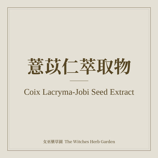 Coix Lacryma-Jobi Seed Extract 薏苡仁萃取物