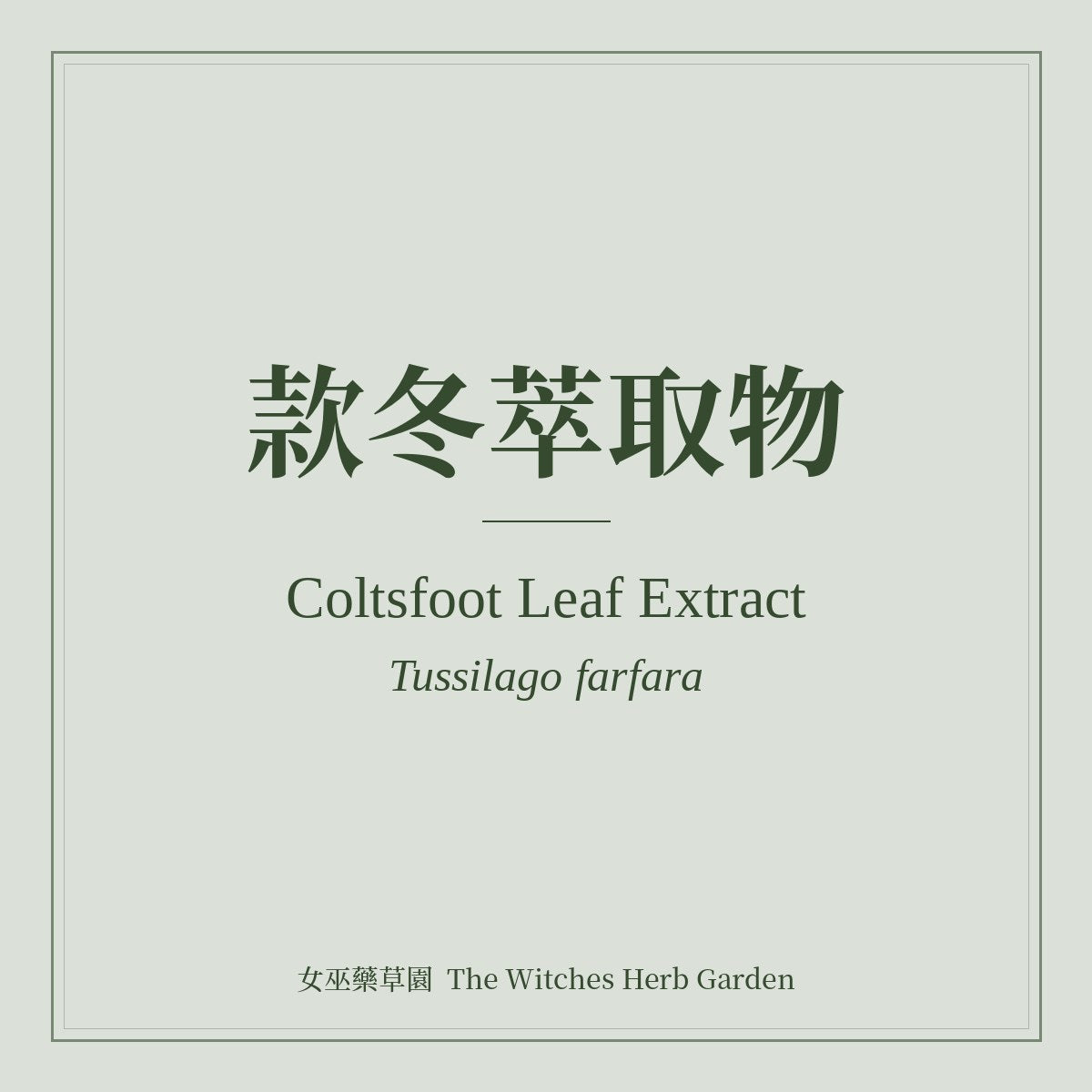 Coltsfoot Leaf Extract 款冬萃取物 Tussilago farfara