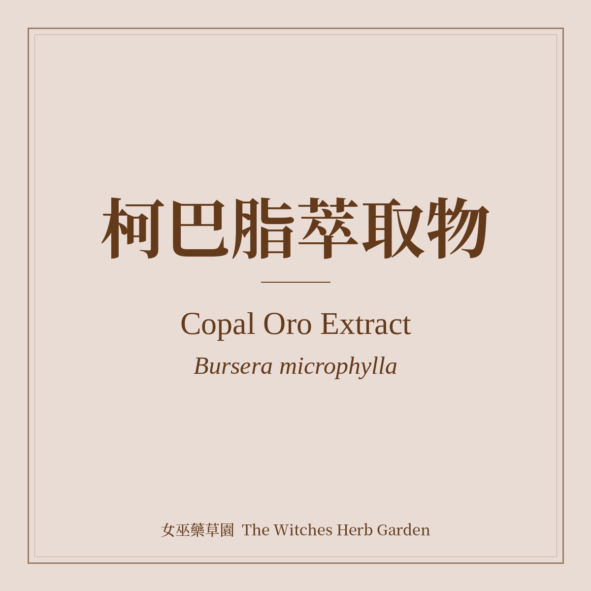 Copal Oro Extract Bursera microphylla