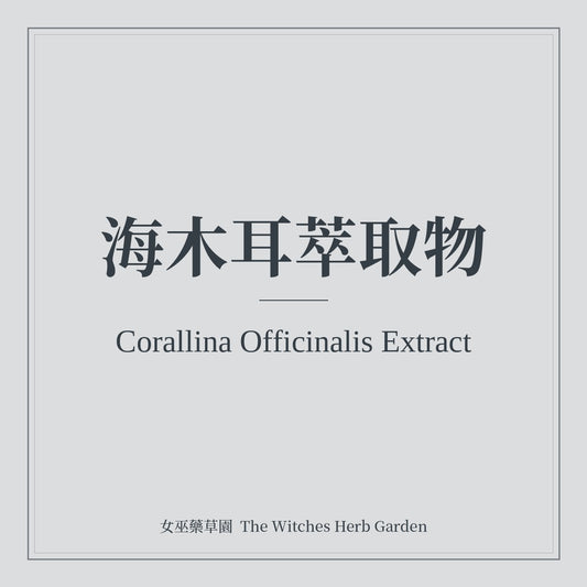 Corallina Officinalis Extract 海木耳萃取物