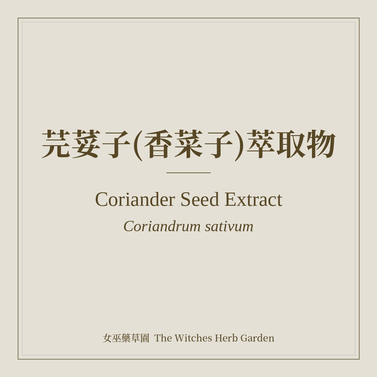 Coriander Seed Extract Coriandrum sativum