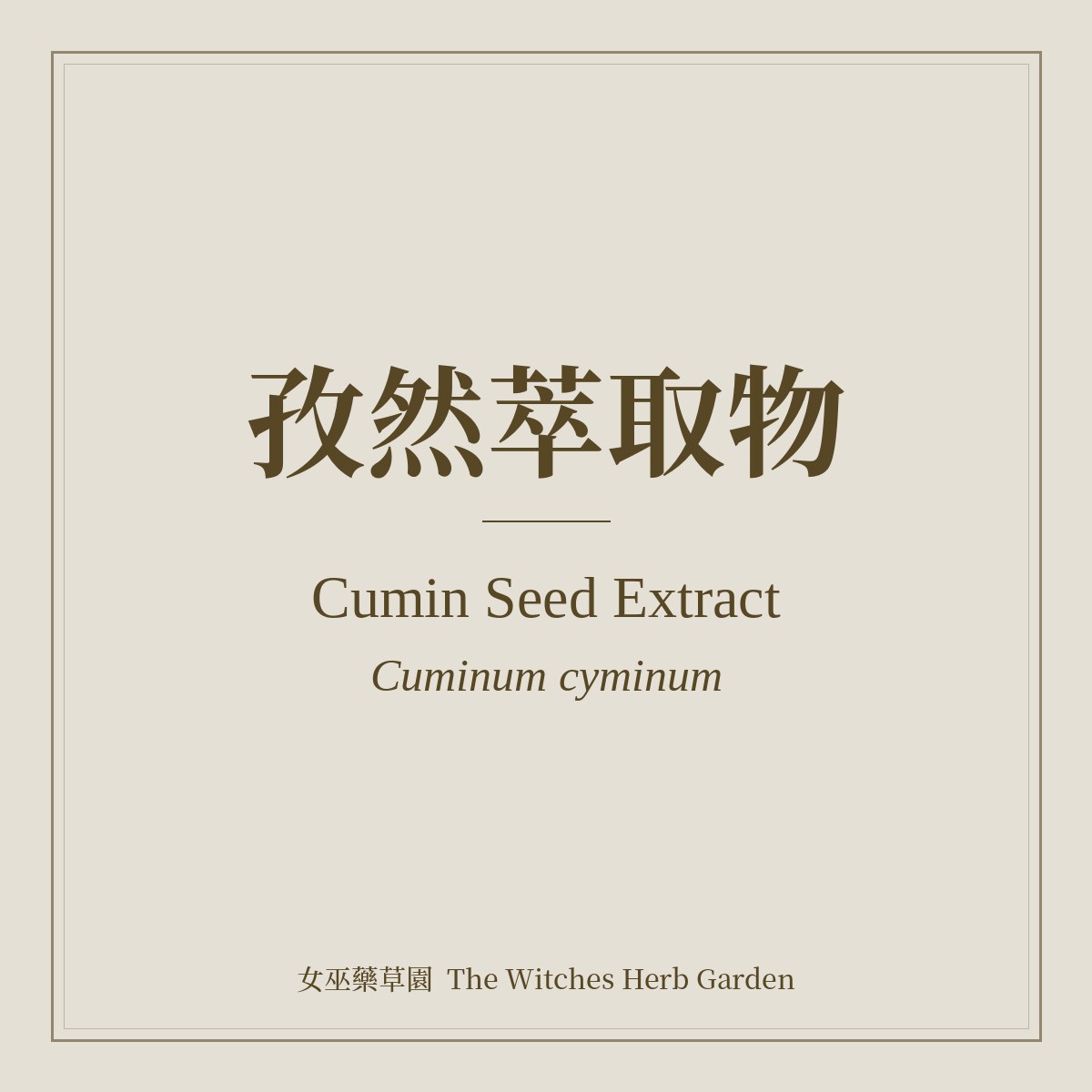 Cumin Seed Extract 孜然萃取物 Cuminum cyminum