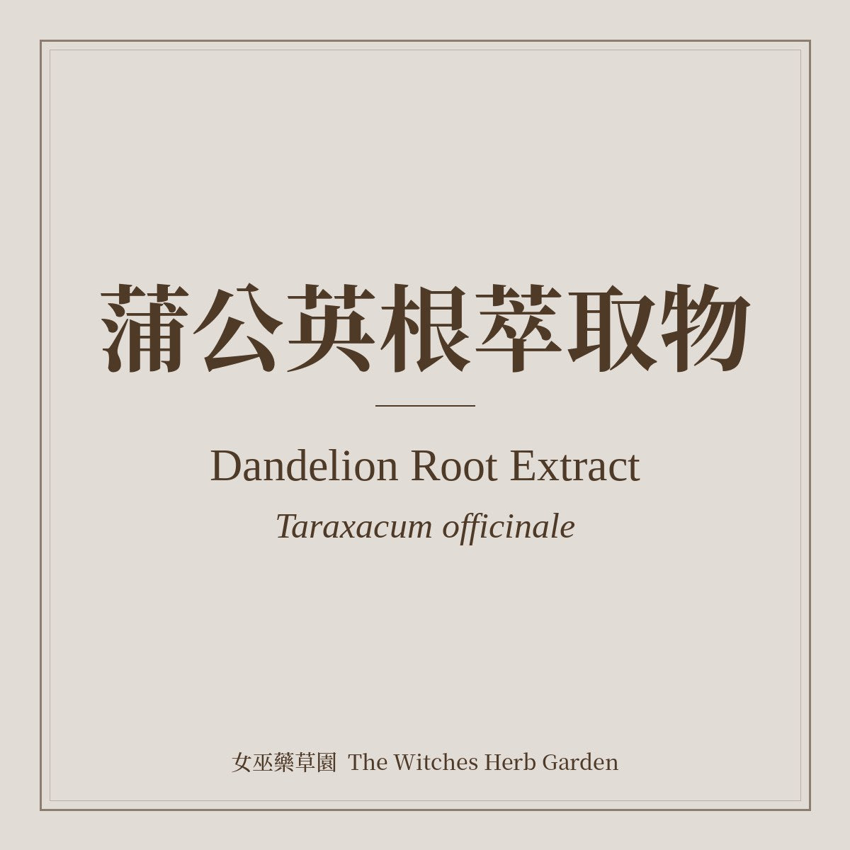 Dandelion Root Extract 蒲公英根萃取物 Taraxacum officinale