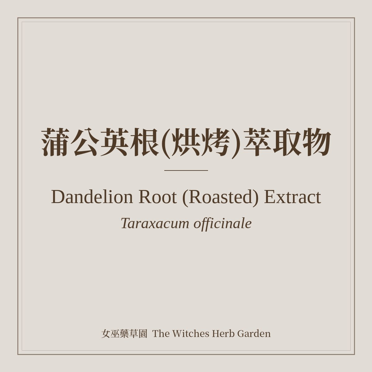 Dandelion Root (Roasted) Extract 蒲公英根(烘烤)萃取物 Taraxacum officinale