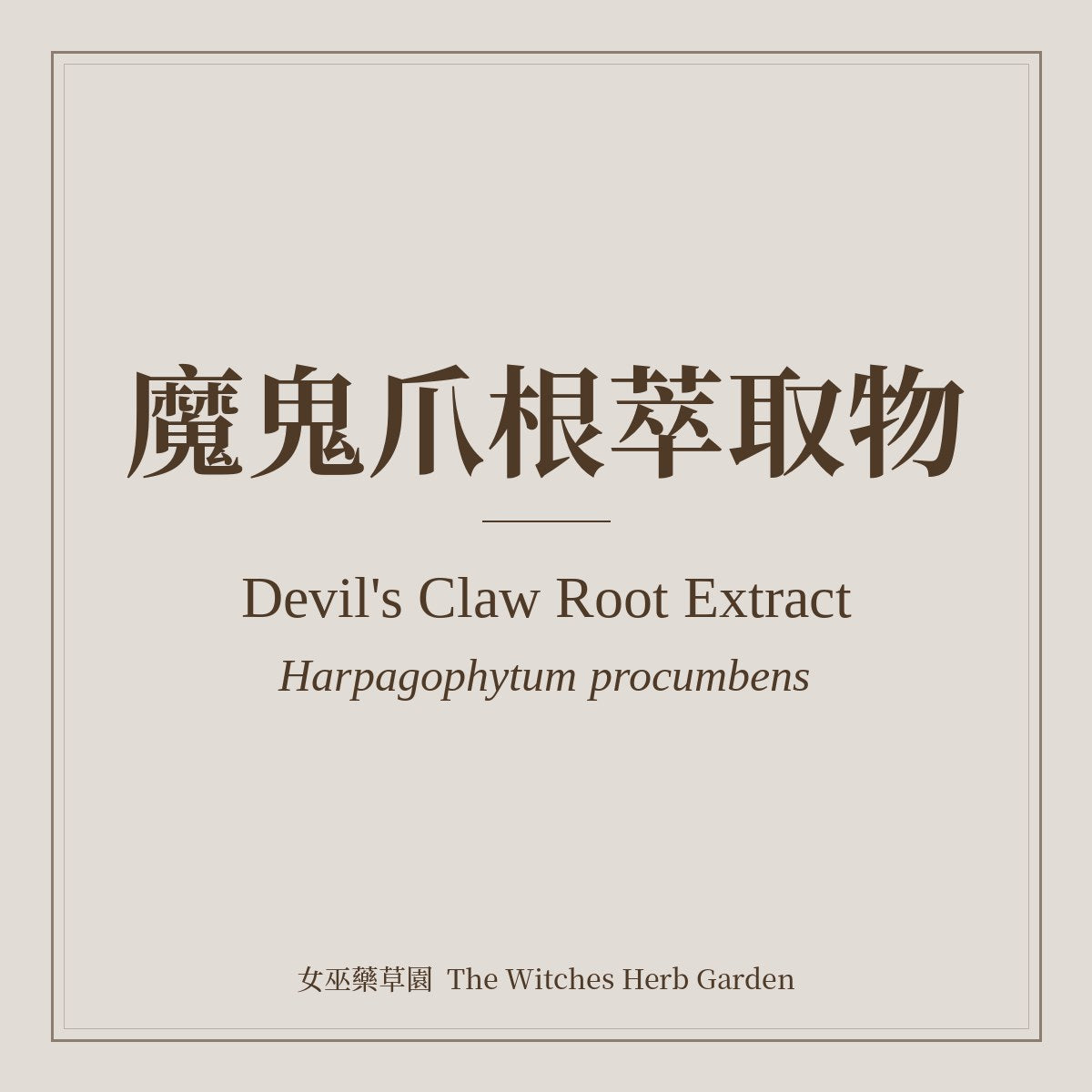 Devil's Claw Root Extract 魔鬼爪根萃取物 Harpagophytum procumbens