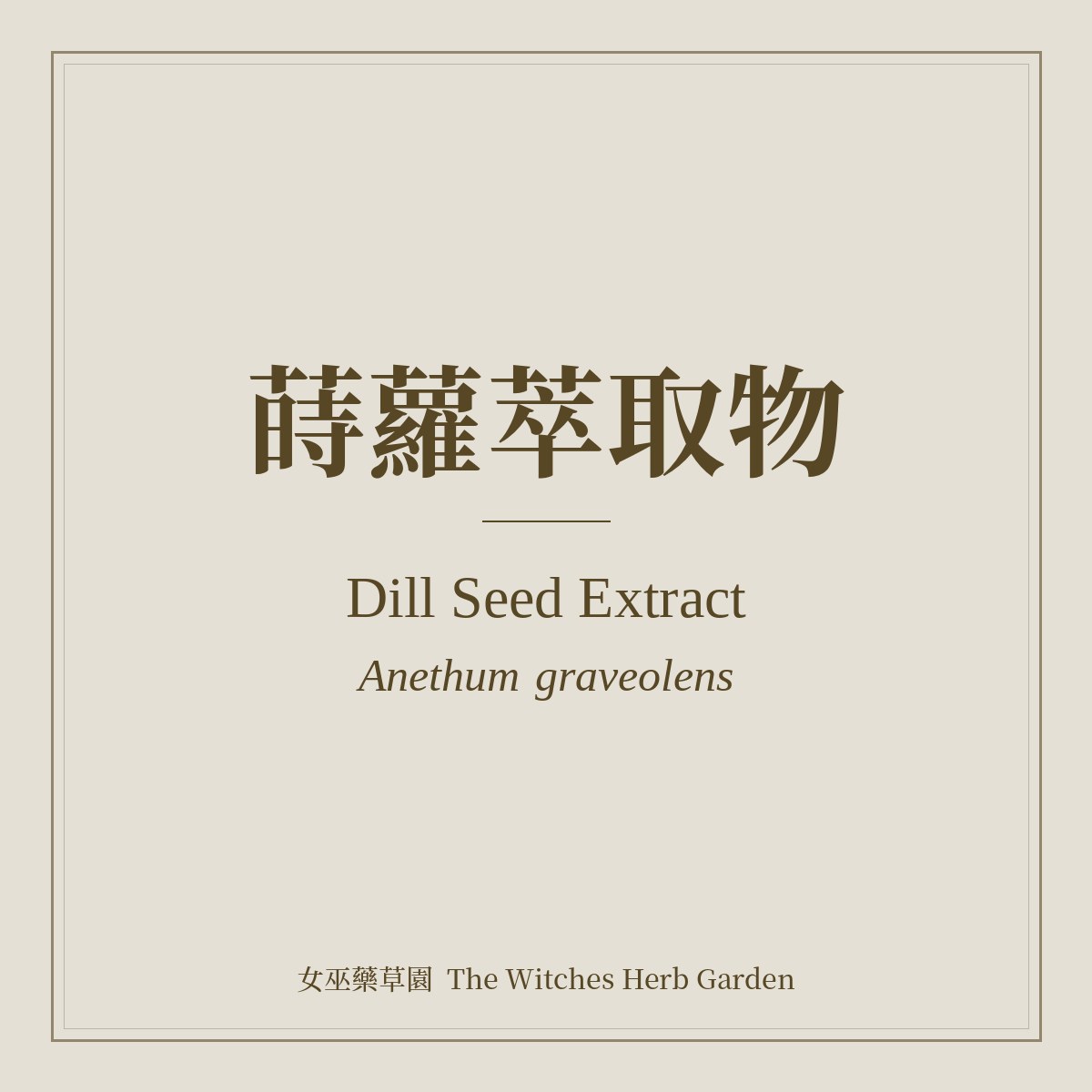 Dill Seed Extract 蒔蘿萃取物 Anethum graveolens