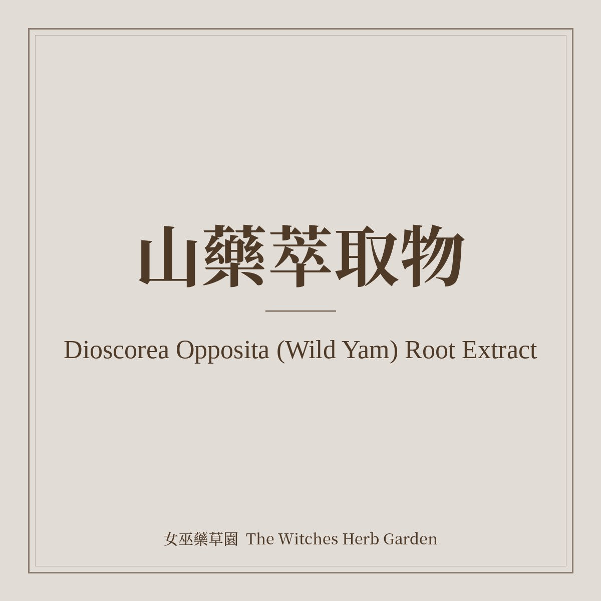 Dioscorea Opposita (Wild Yam) Root Extract 山藥萃取物