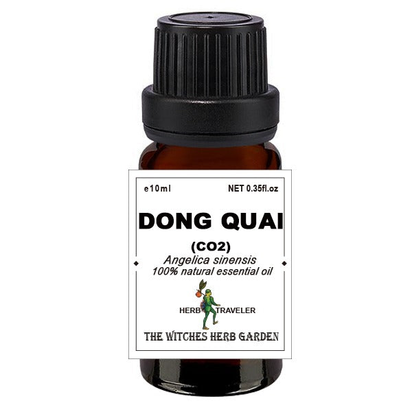 Dong Quai 當歸精油 10ml