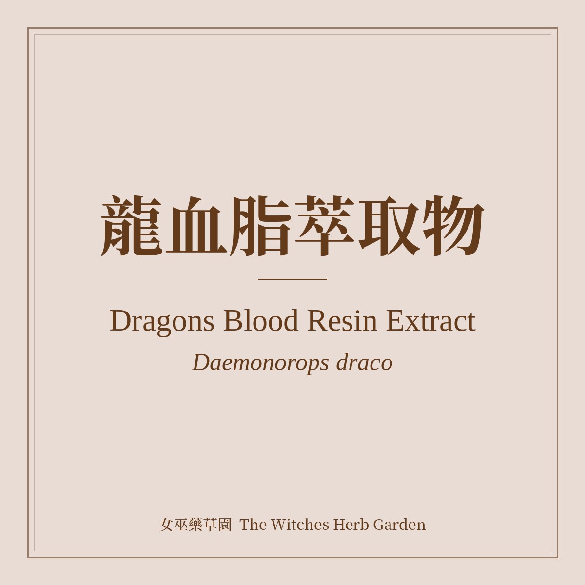 Dragons Blood Resin Extract Daemonorops draco