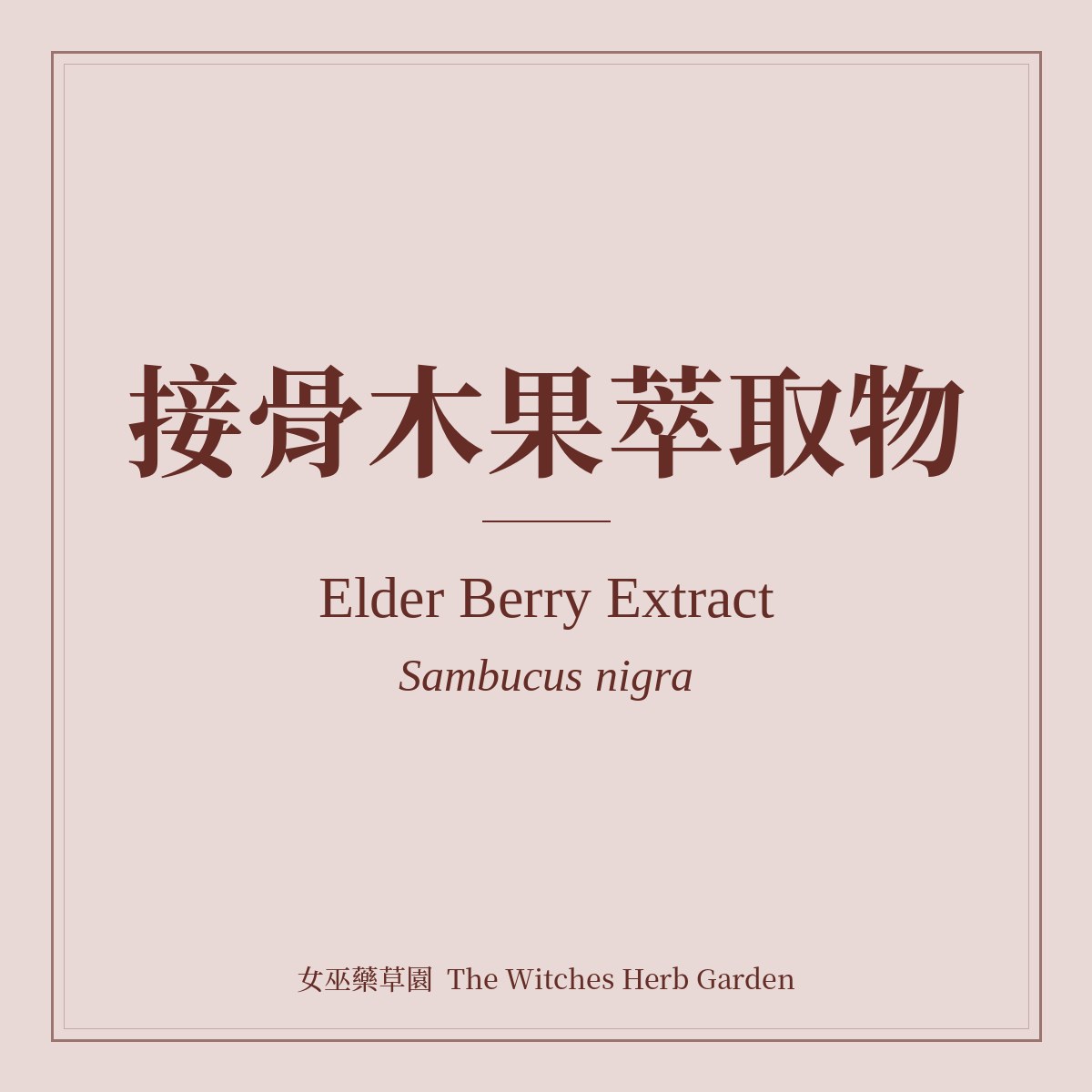 Elder Berry Extract 接骨木果萃取物 Sambucus nigra