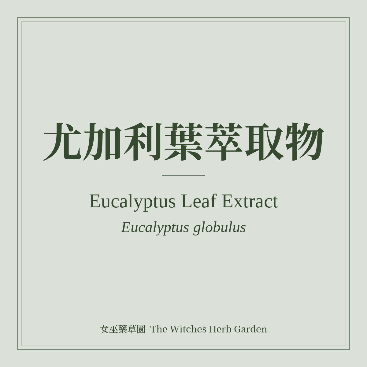Eucalyptus Leaf Extract Eucalyptus globulus