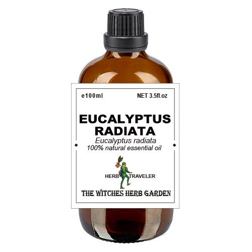 Eucalyptus radiata 澳洲尤加利精油 100ml