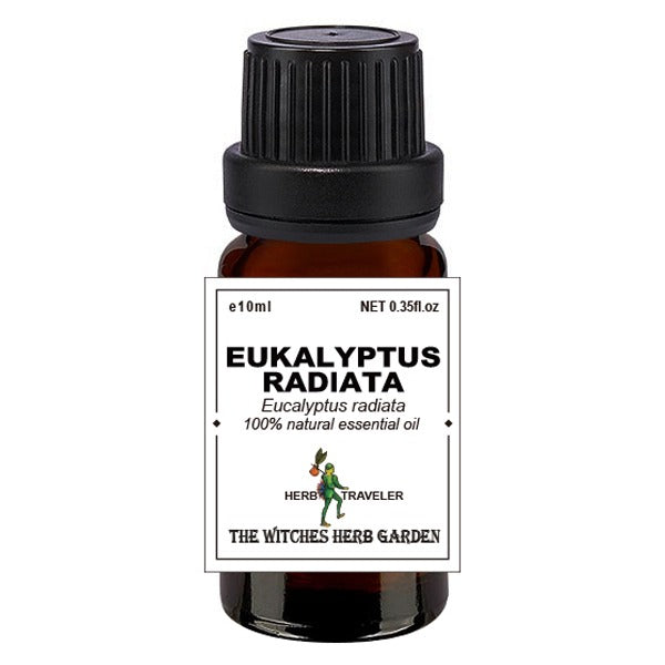 Eucalyptus radiata 澳洲尤加利精油 10ml