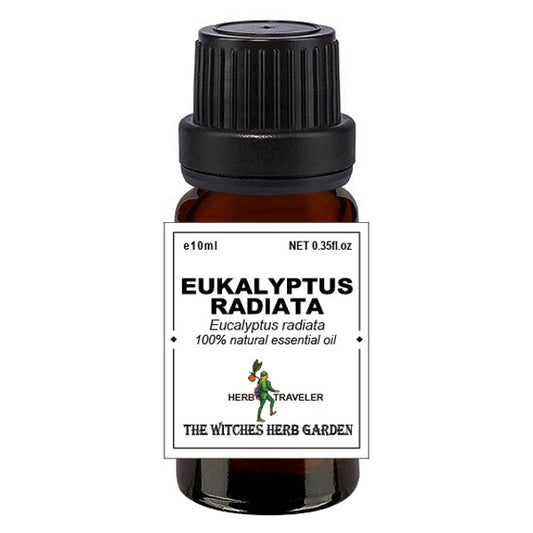 Eucalyptus radiata 澳洲尤加利精油 10ml