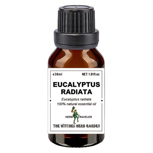 Eucalyptus radiata 澳洲尤加利精油 30ml