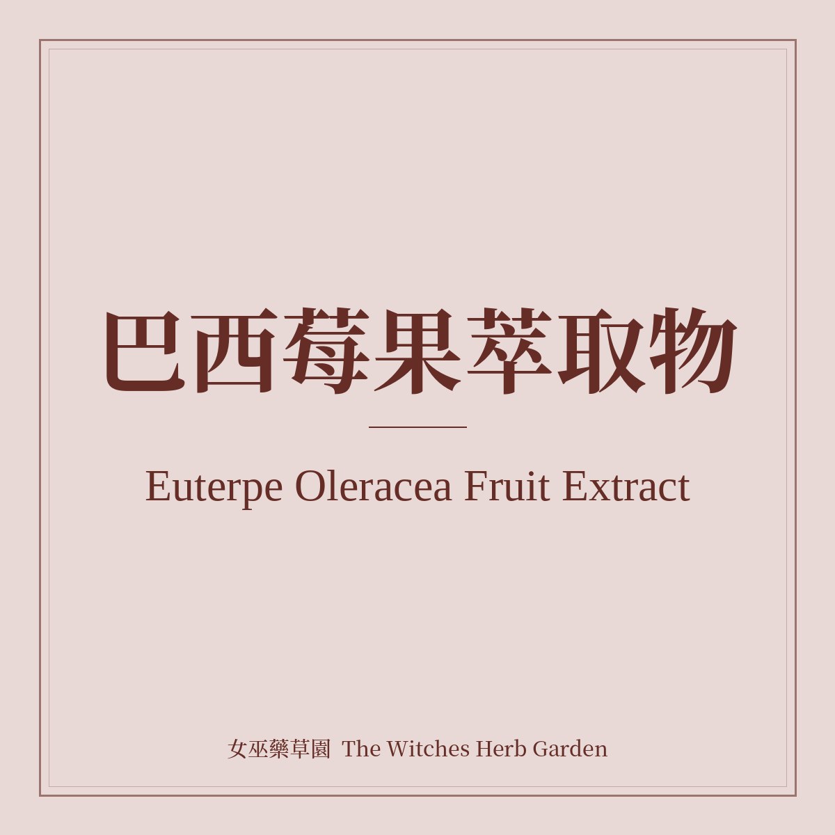 Euterpe Oleracea Fruit Extract 巴西莓果萃取物