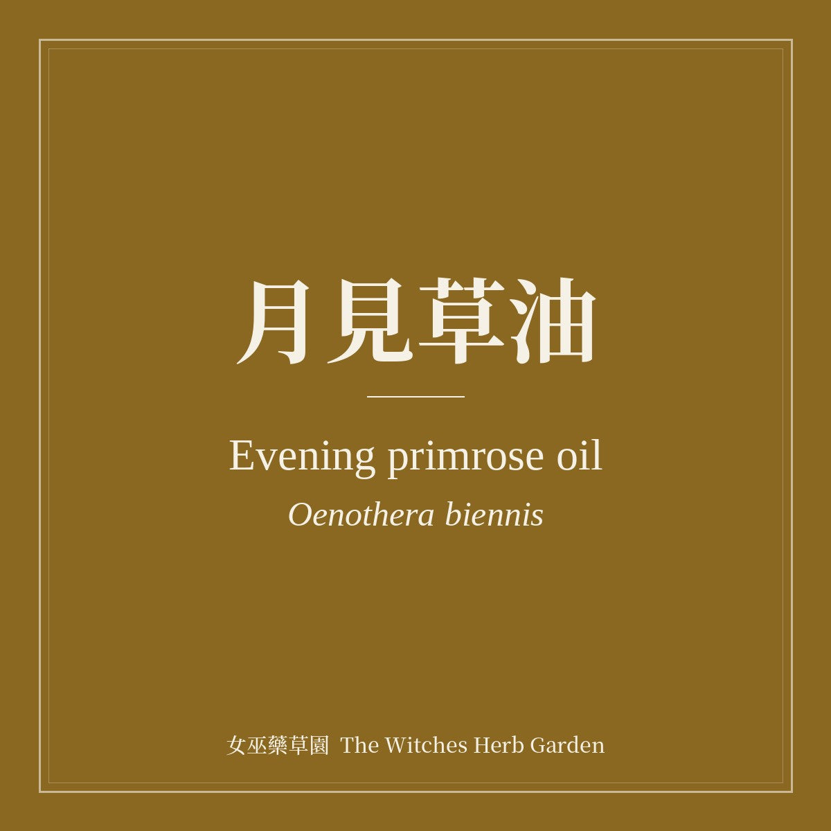 Evening primrose oil 月見草油